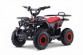 Mini quad per bambini  Elettrica Potente Pista Privata Pit Bike Off-Road