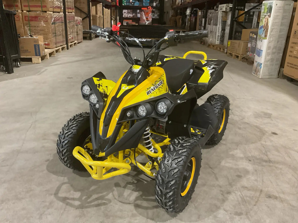 Mini Quad Renegade 50cc 2T per Bambini