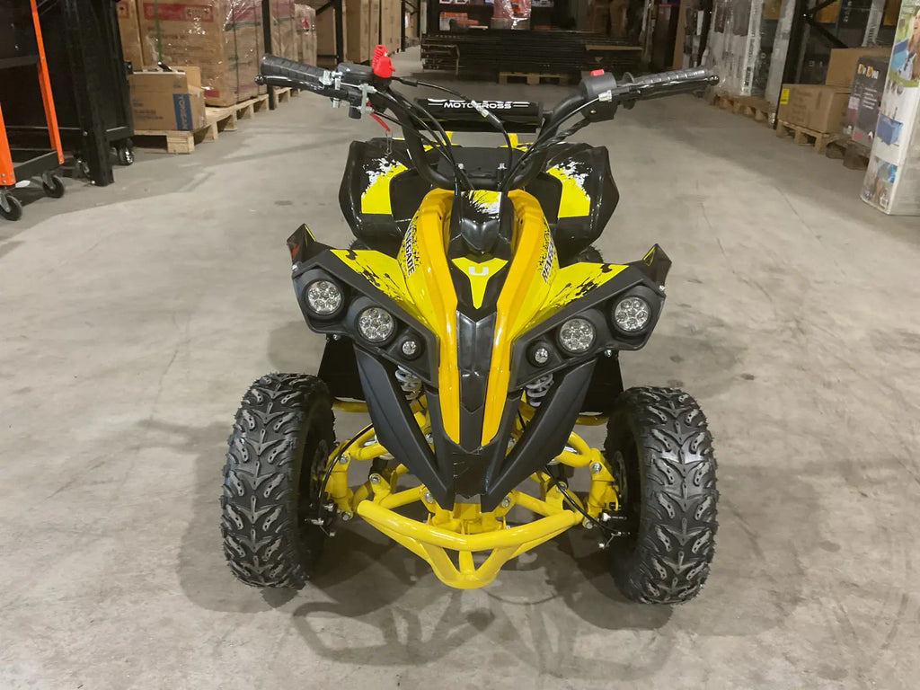 Mini Quad Renegade 50cc 2T per Bambini