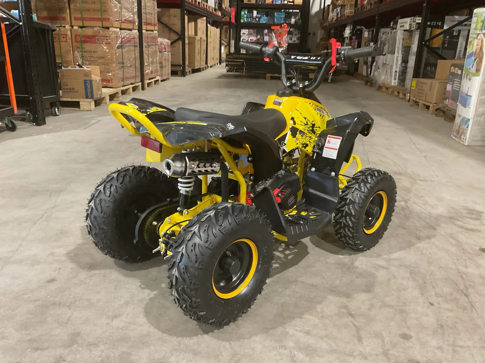 Mini Quad Renegade 50cc 2T per Bambini