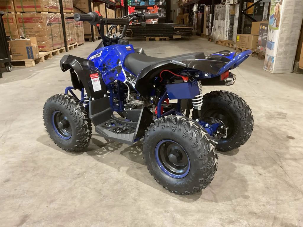 Mini Quad Renegade 50cc 2T per Bambini