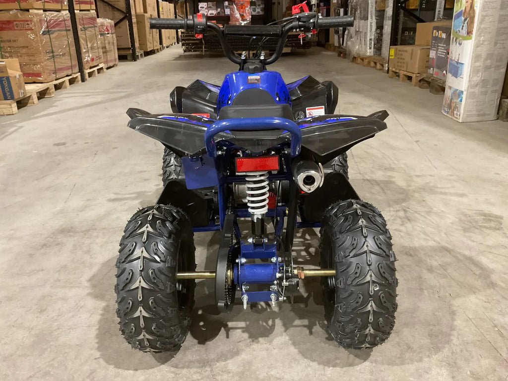 Mini Quad Renegade 50cc 2T per Bambini