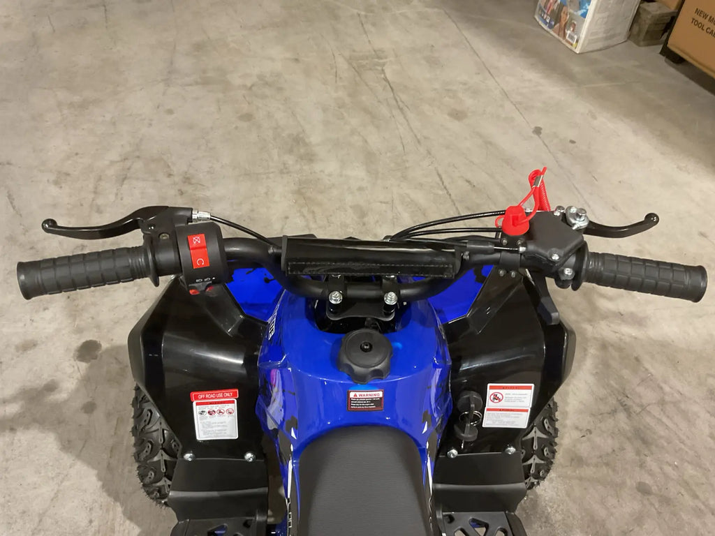Mini Quad Renegade 50cc 2T per Bambini