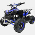 Mini Quad Renegade per Bambini / Pista Privata